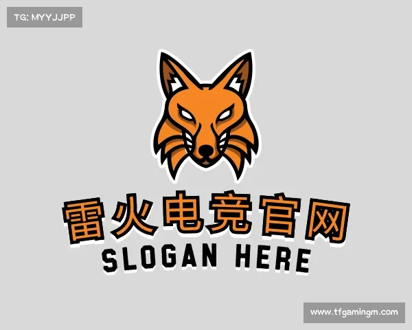 介绍雷火电竞官网